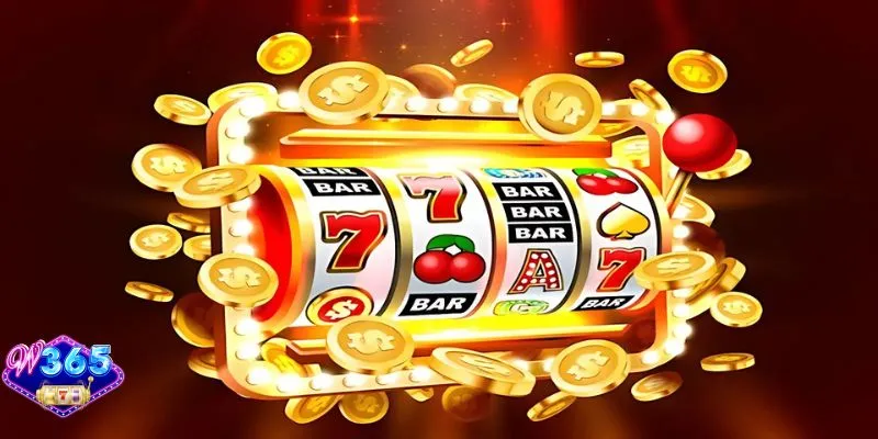 Giới thiệu chung về W365