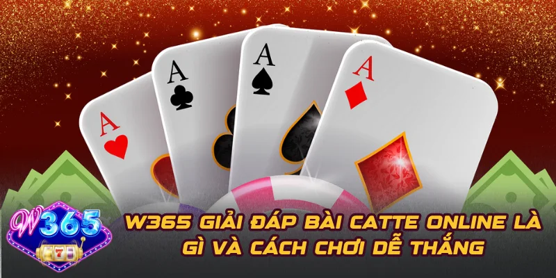 W365 Giải Đáp Bài Catte Online Là Gì Và Cách Chơi Dễ Thắng