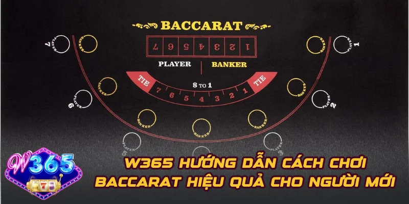 W365 Hướng Dẫn Cách Chơi Baccarat Hiệu Quả Cho Người Mới