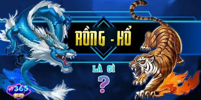 Rồng Hổ W365 đỉnh cao